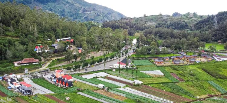 迪恩豪华营地 由Travelink(Dieng Luxury Camp By Travelink)图片