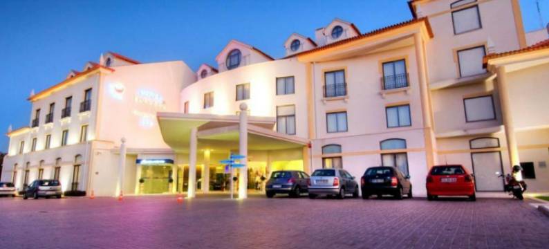 埃斯塔雷哈林肯酒店(Lam Hotel Estarreja)图片