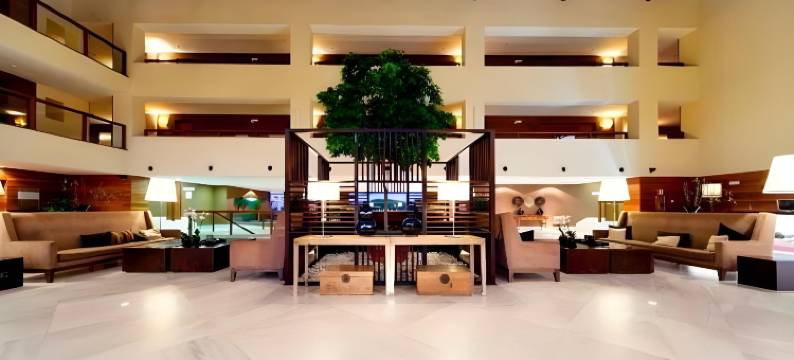 洲际酒店集团旗下芝加哥西南康提赛德假日酒店会议中心(Holiday Inn CHICAGO SW-COUNTRYSIDE CONFCTR by IHG)图片