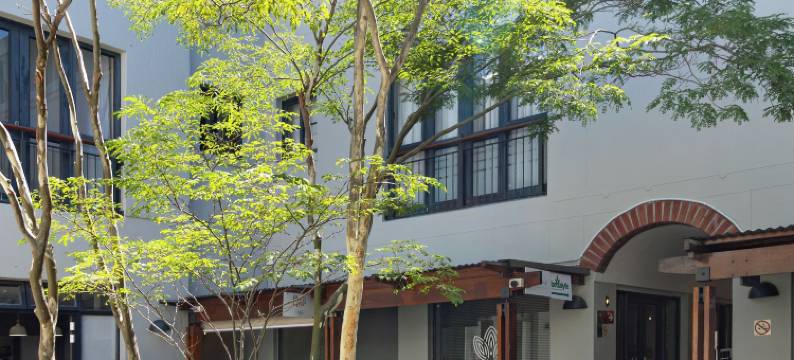 艾维摩尔艾克霍夫2号(Avemore Eikehoff No 2)图片