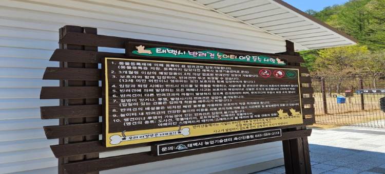 华美达太白酒店(Ramada Taebaek Hotel)图片