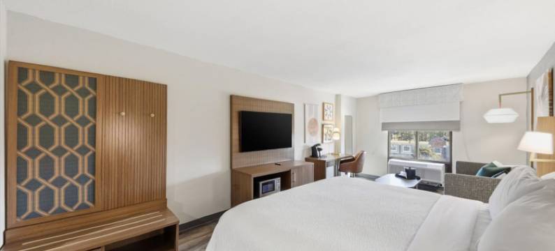 Holiday Inn 亚特兰大诺斯莱克(Holiday Inn ATLANTA-NORTHLAKE by IHG)图片