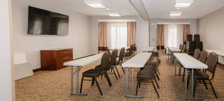 埃芬汉舒适套房酒店(Comfort Suites Effingham)图片