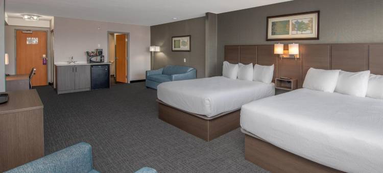 莱斯布里奇海岸酒店及会议中心(Coast Lethbridge Hotel & Conference Centre)图片