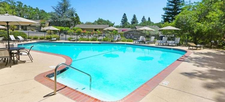 宠物友好型纳帕度假屋 靠近酒庄和市中心(Pet-friendly Napa Retreat Wineries Downtown)图片