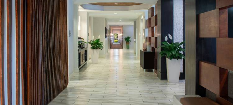 奥兰多会议中心／国际大道区万豪SpringHill酒店(SpringHill Suites Orlando Convention Center/International Drive Area)图片