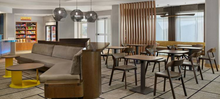 罗穆勒斯底特律都会机场万豪SpringHill酒店(SpringHill Suites Detroit Metro Airport Romulus)图片