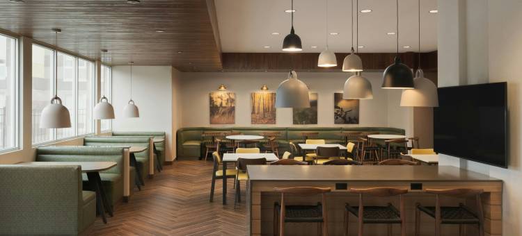 列克星敦乔治敦/学院万枫旅馆及套房(Fairfield Inn & Suites Lexington Georgetown/College Inn)图片