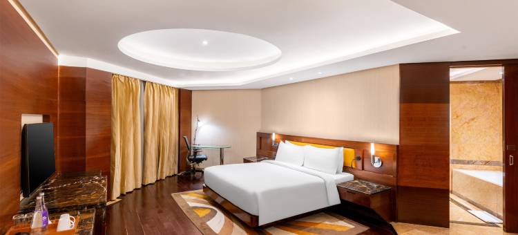 卡萨比德里NCR丽笙酒店(Radisson Blu Kaushambi Delhi NCR)图片