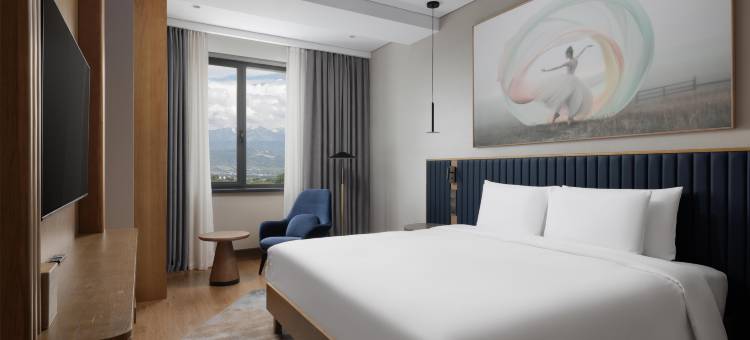 阿拉木图机场丽笙蓝标酒店(Radisson Blu Hotel, Almaty Airport)图片