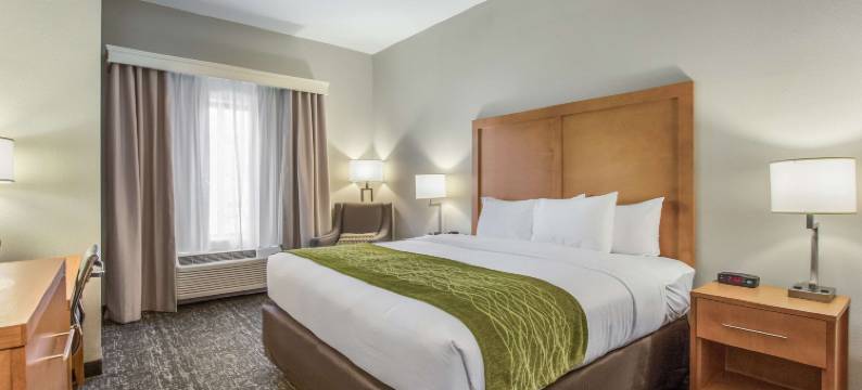 贾斯珀南部舒适酒店(Comfort Inn Jasper South)图片