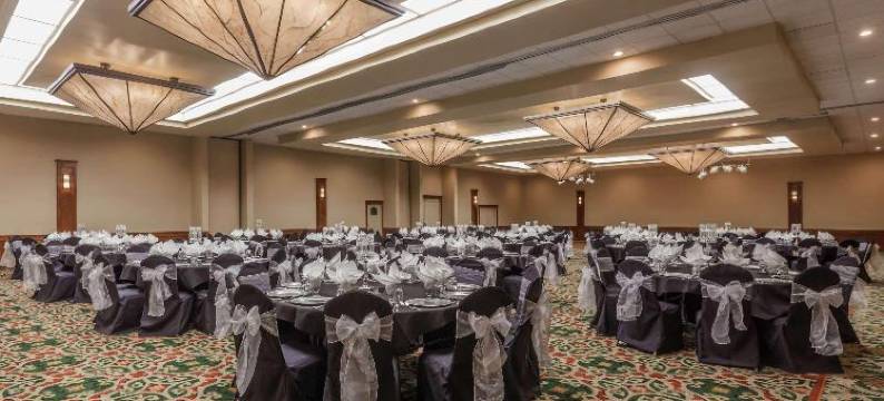 维塞利亚温德姆酒店(Wyndham Visalia)图片