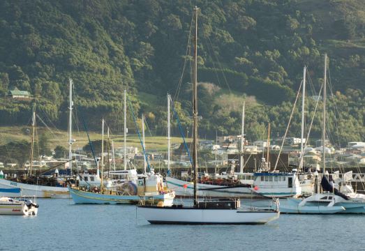 Apollo Bay Motel & Apartments Hotel Overview