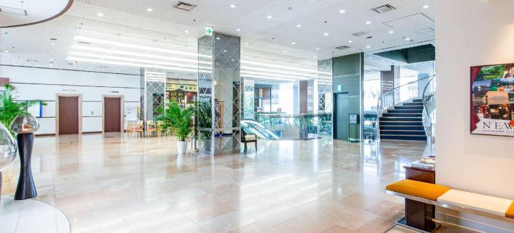 鹿儿岛艺术酒店(Art Hotel Kagoshima)图片