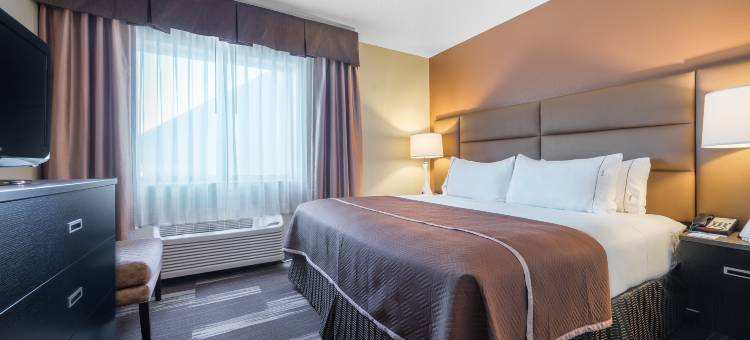 圣保罗伍德伯里智选假日酒店及套房-由洲际酒店集团管理(Holiday Inn Express & Suites ST. Paul - Woodbury)图片