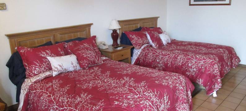 米尔福德五月花汽车旅馆(Mayflower Motel Milford)图片