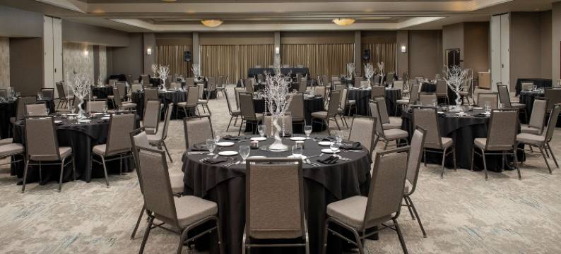 达拉斯邓肯维尔希尔顿花园酒店(Hilton Garden Inn Dallas/Duncanville)图片