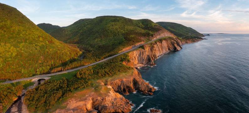 辛蒙酒店悉尼(The Simon Hotel Sydney)图片