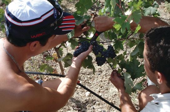 Amazing Apartment in Mastichari - Kos with 1 Bedrooms and Outdoor Swimming Pool Hotel Overview