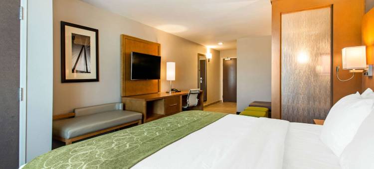 Comfort Suites North Charleston - Ashley Phosphate图片