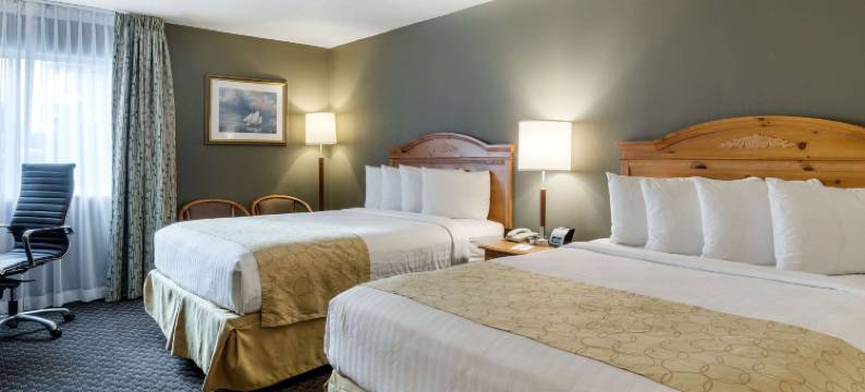 普罗维登斯锡康克华美达酒店(克拉丽奥Seekonk - Providence)(Clarion Hotel Seekonk - Providence)图片