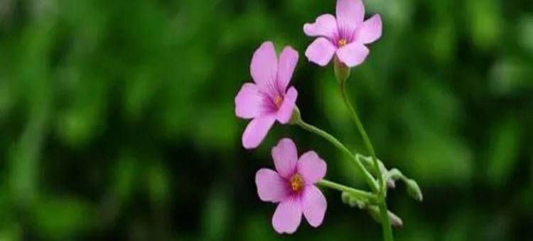 普陀山福运客栈(六峤路分店)图片