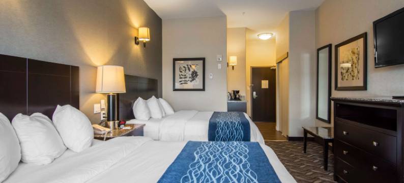 舒适套房酒店(Comfort Inn & Suites)图片