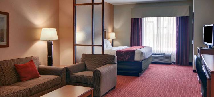 舒适套房酒店(Quality Suites Near Cedar Creek Lake)图片