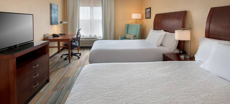 希尔顿花园奥尔巴尼医学中心酒店(Hilton Garden Inn Albany Medical Center)图片