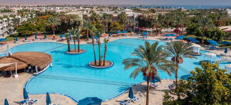 沙漠玫瑰度假村(Desert Rose Resort)图片