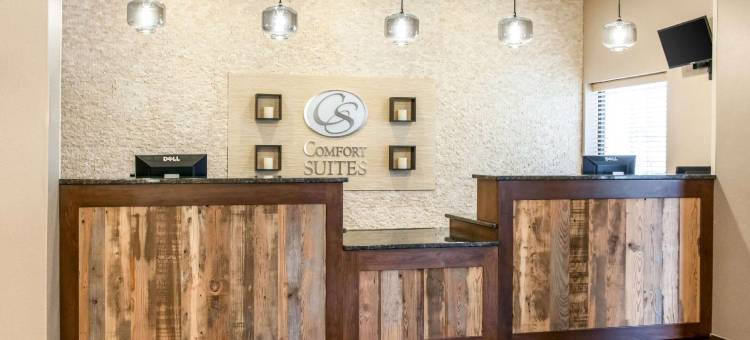 万塞讷舒适套房酒店(Comfort Suites)图片