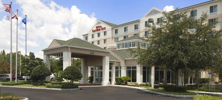 坦帕北希尔顿花园酒店(Hilton Garden Inn Tampa North)图片