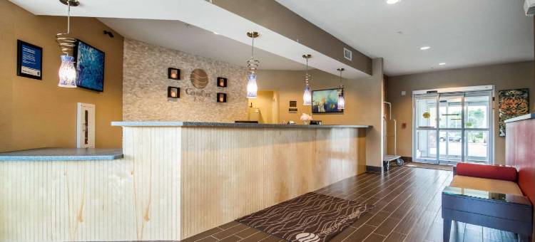 阿巴拉钦/宾汉顿西 17 号公路舒适酒店(Comfort Inn Apalachin / Binghamton W Route 17)图片