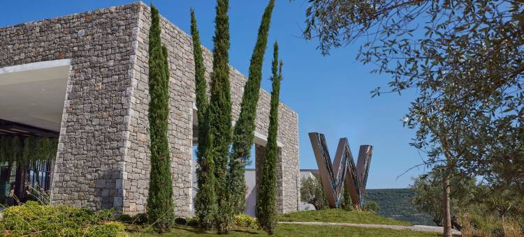 W科斯塔纳瓦里诺酒店(W Costa Navarino)图片