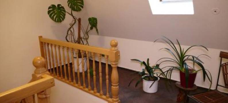 多姆酒店(Hotel am Dom)图片