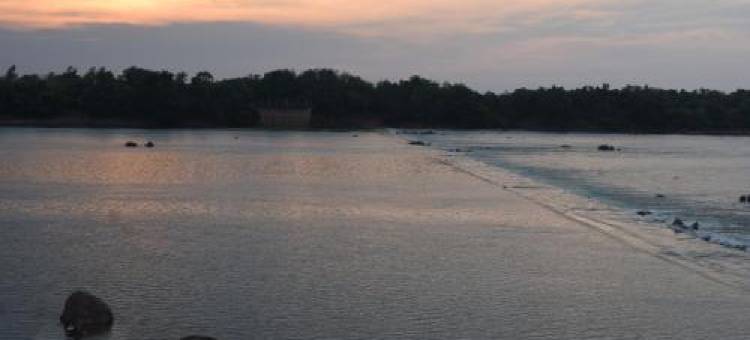 Aryan Camp - RiverView Farmstay, Panna Tiger Reserve, Madla图片