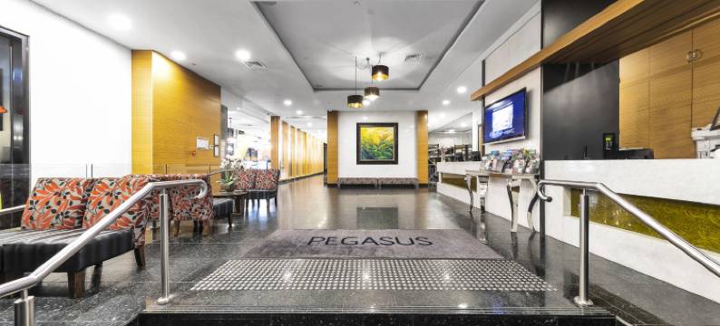 飞马公寓式酒店(Pegasus Apart'Hotel)图片