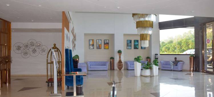 维拉萨舒适酒店(Comfort Inn Vilasa)图片