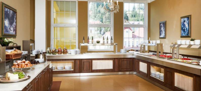 利比维达 Spa 度假村 - 诺维杜姆(Spa Resort Libverda - Hotel Nový Dům)图片