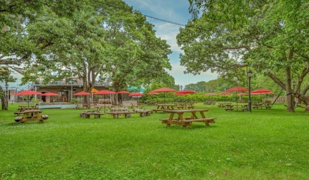 Ruschmeyers #3 - Queen Hotel Overview