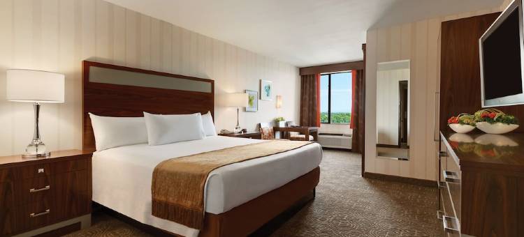 黄金海岸娱乐场酒店(Gold Coast Hotel and Casino)图片