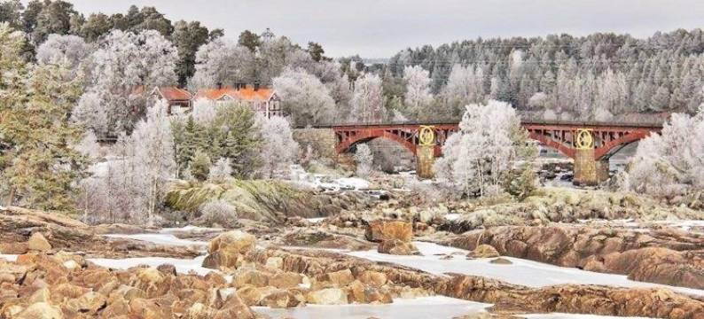 艾维卡勒比观光会议酒店(Älvkarleby Turist Och Konferenshotell)图片