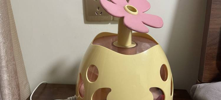 民修之家公寓(龙江东街分店)图片