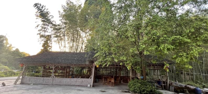 蜀南竹海赋竹居民宿图片