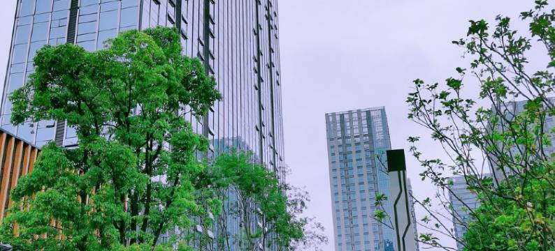 大漂亮公寓(东江源大道分店)图片