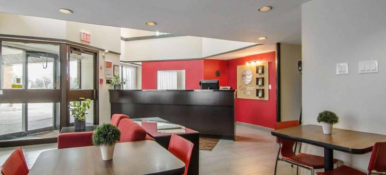 舒适酒店(Comfort Inn)图片