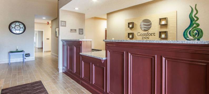 舒适酒店-莱星顿南(Comfort Inn Lexington South)图片