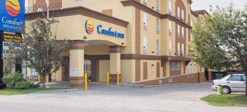 舒适酒店及套房大学(Comfort Inn & Suites University)图片