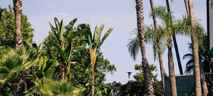 凯悦丽晶纽波特海滩西(Hyatt Regency Newport Beach West)图片