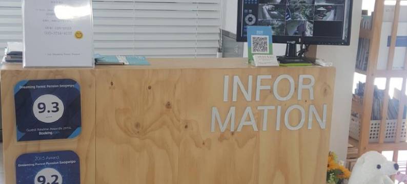 梦幻森林旅馆(Dreaming Forest Pension Seogwipo)图片